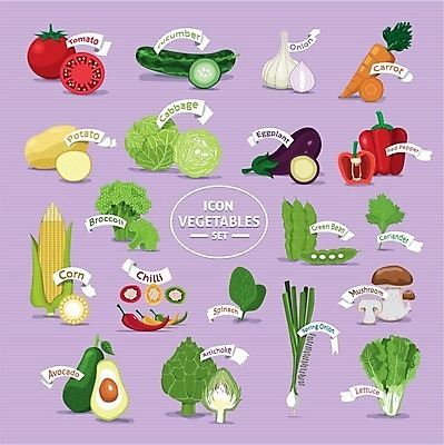 EPS 해외이미지 식물 디자인 계절 음식 백그라운드 잎 패턴 농업 다이어트 토마토 채소 오렌지 과일 일러스트 재료 자연 벽지 고추 딸기 추상 디저트 건강 장식 빨간색 초록색 세트 컬러풀 노란색 정원 당근 신선 뜨거움 체리 그룹 오브젝트 유기농 질감 후추 내추럴 고립 숙성 엘리먼트 채식주의자 해외202004 해외일러스트 웰빙 산업 컬러 무늬 뿌리채소 향신료 생태계 채식 파일형식 벡터 이미지허브