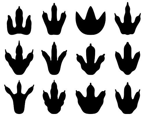 EPS 해외이미지 모양 동물 모델 디자인 실루엣 야생동물 백그라운드 컨셉 일러스트 파충류 생물 그래픽 라벨 위험 큼 공격 발자국 만화 자르기 사인 공룡 육식동물 사냥꾼 멸종 선사시대 우표 고립 공격적 몬스터 쥬라기 해외202004 해외일러스트 직업 자국 모션 프레임 촬영기법 역사 크기 파일형식 벡터 이미지허브