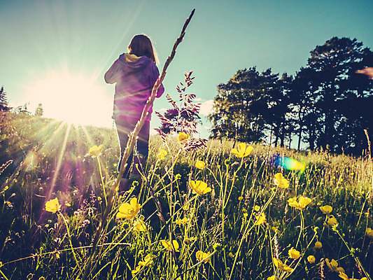 포토 JPG 해외이미지 공원 여자 꽃 어린이 자연 한명 서기 상반신 야외 뒷모습 햇빛 태양 정원 복고 소녀한명만 해외202004 해외포토 자연요소 식물 1 공공시설 뷰포인트 모션 사람 생태계 여자한명만 소녀만 파일형식 이미지허브