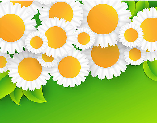 EPS 해외이미지 식물 템플릿 디자인 계절 꽃 백그라운드 꽃무늬 패턴 일러스트 자연 추상 휴가 프레임 따뜻함 그래픽 빛 태양 봄 에너지 신용카드 캐모마일 스타일 해외202004 해외일러스트 자연요소 무늬 금융 허브 생태계 파일형식 벡터 이미지허브