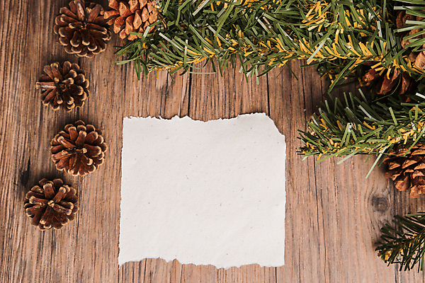 포토 JPG 해외이미지 나무 식물 전통 디자인 계절 종이 음식 백그라운드 크리스마스 겨울 패턴 자연 휴가 새로움 프레임 사람없음 목재 장식 우주 축제 나뭇가지 인사 소나무 신용카드 달콤 널 12월 연도 배열 전나무 원뿔 내추럴 노엘 동물상 양피지 옛날 카피스페이스 해외202004 해외포토 도형 기념일 컨셉 무늬 재료 금융 조형물 공백 예절 날짜 맛 생태계 파일형식 이미지허브