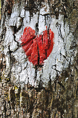 포토 JPG 해외이미지 모양 나무 디자인 패턴 추상 발렌타인데이 창조 사랑 사람없음 목재 그래픽 빨간색 페인트 하트 시골 그리기 그래피티 심볼 묘사 부식 질감 나무껍질 그런지 해외202004 해외포토 식물 감정 컬러 무늬 재료 모션 데이이벤트 껍질 낙서 그림 파일형식 이미지허브