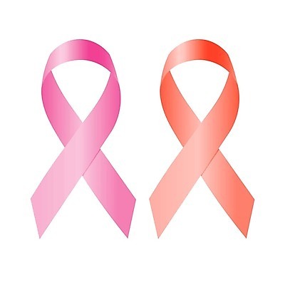 EPS 해외이미지 캐릭터 여자 선 분홍색 조각 일러스트 자연 엄마 건강 사랑 빨간색 약 희망 흰색 죽음 질병 가슴 싸움 암 기부 고립 소셜 에이즈 이해 지원 헬프 동정 현실 자선단체 해외202004 해외일러스트 일러캐릭터 감정 컬러 의학 가족 모션 사람 신체부위 도움 그룹 생태계 자선 파일형식 벡터 이미지허브