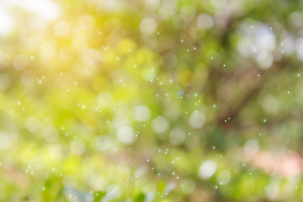 포토 JPG 해외이미지 백그라운드 불꽃 발렌타인데이 그림자 사람없음 초록색 빛 컬러풀 햇빛 노란색 희망 펼침 흰색 달콤 그늘 즐거움 보케 부드러움 공상 타격 몽환 해외202004 해외포토 감정 컬러 컨셉 모션 데이이벤트 불 태양 감각 맛 파일형식 이미지허브