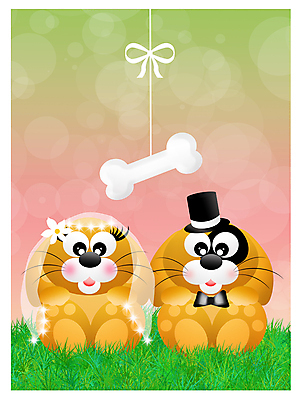 포토 JPG 해외이미지 커플 드레스 행복 신랑 결혼 일러스트 결혼식 남편 넥타이 왕관 뼈 발렌타인데이 사랑 미소 정장 턱시도 이벤트 사람없음 하트 축하 아내 가운 개 달콤 만화 집중 기회 약혼 베일 해외202004 해외포토 모양 잡화 옷 감정 컨셉 포유류 관계 데이이벤트 표정 맛 약속 파일형식 이미지허브