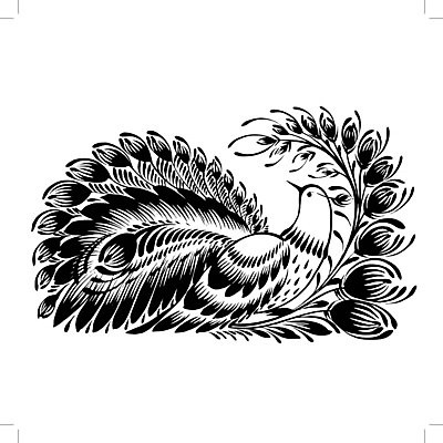 EPS 해외이미지 디자인 꽃 백그라운드 잎 일러스트 미술 사람없음 검은색 공작 해외202004 해외일러스트 식물 컬러 조류 문화예술 파일형식 벡터 이미지허브