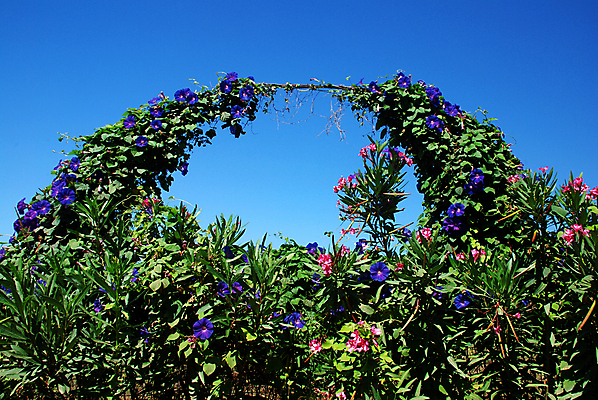 포토 JPG 해외이미지 나무 식물 공원 꽃 건축양식 자연 풍경 잔디 사람없음 여름 컬러풀 평화 정원 일본 침묵 봄 성장 백합 활 아치 원예 대문 수국 내추럴 원예사 히비스커스 해외202004 해외포토 직업 계절 공공시설 건축 아시아 컬러 컨셉 취미 문 소리 생태계 파일형식 이미지허브