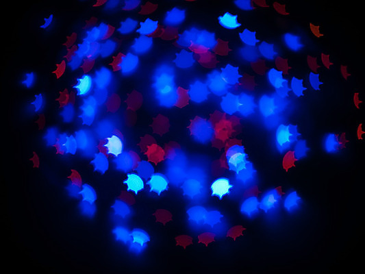 포토 JPG 해외이미지 나무 디자인 배너 커플 계절 분홍색 결혼 백그라운드 크리스마스 겨울 패턴 추상 휴가 프레임 발렌타인데이 사랑 미술 사람없음 장식 빨간색 초록색 물 파란색 빛 컬러풀 파티 보라색 검은색 봄 하트 야간 소프트포커스 질감 보케 광 블러 효과 해외202004 해외포토 자연요소 모양 식물 기념일 감정 컬러 무늬 관계 데이이벤트 문화예술 촬영기법 이벤트 파일형식 이미지허브