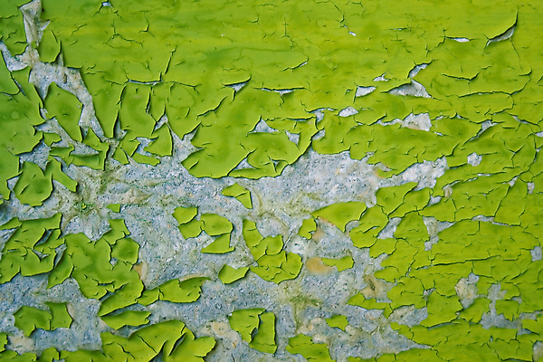 포토 JPG 해외이미지 디자인 외관 벽 백그라운드 패턴 표면 날씨 추상 미술 사람없음 야외 초록색 우주 페인트 손상 점 얼룩 거친 부식 질감 장면 스크래치 나쁜 구식 그런지 깨짐 썩음 옛날 콘크리트 노화 해외202004 해외포토 컬러 컨셉 무늬 문화예술 파일형식 이미지허브