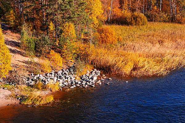 포토 JPG 해외이미지 나무 식물 여행 백그라운드 자연 갈대 풍경 사람없음 야외 옆모습 물 강 태양 흐름 가을 가장자리 숲 강가 장면 암초 해외202004 해외포토 자연요소 계절 뷰포인트 컨셉 둘레 생태계 파일형식 이미지허브