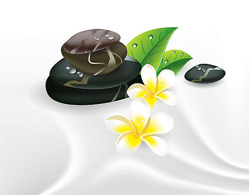 EPS 해외이미지 클립아트 식물 꽃잎 꽃 선 백그라운드 잎 일러스트 자연 벽지 추상 휴식 건강 미술 풍경 야외 그래픽 여름 평화 일본 스파 중국 봄 에너지 바위 흰색 신선 마사지 난초 고급 심볼 질감 하와이 내추럴 고립 생태학 이국적 스타일 해외202004 해외일러스트 계절 교육 아시아 컬러 컨셉 무늬 문화예술 미국 돌_바위 생태계 파일형식 벡터 이미지허브