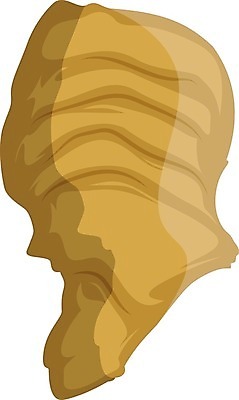 EPS 해외이미지 식물 손 꽃 음식 백그라운드 잎 꽃무늬 패턴 농업 채소 일러스트 재료 자연 건강 요리 초록색 주방 정원 가을 흰색 나뭇가지 신선 맛 스케치 먹기 허브 그림 유기농 내추럴 고립 아티초크 예루살렘 채식주의자 해외202004 해외일러스트 나무 웰빙 계절 산업 컬러 컨셉 무늬 모션 미술 신체부위 생태계 채식 이스라엘 파일형식 벡터 문화예술 사람 서아시아 아시아 나라 이미지허브