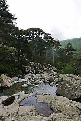 포토 JPG 해외이미지 영어 바다 섬 여행 자연 갈매기 등대 풍경 사람없음 여름 파란색 강 태양 마을 산책 폭포 산책로 하이킹 프랑스 보트 스페인 지중해 순환 페이지 포트 타운 통과 건너기 다도해 마르세유 코르시카 해외202004 해외포토 자연요소 문자 계절 유럽 길 컬러 배_교통 모션 조류 레저 휴식 도시 생태계 파일형식 이미지허브