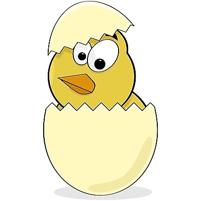 EPS 해외이미지 동물 음식 컨셉 일러스트 자연 조류 새로움 아이디어 병아리 그래픽 농장 노란색 계란 치킨 만화 그림 부화 동물상 취급주의 해외202004 해외일러스트 컬러 농업 경고 조형물 알 생태계 닭고기요리 파일형식 벡터 이미지허브