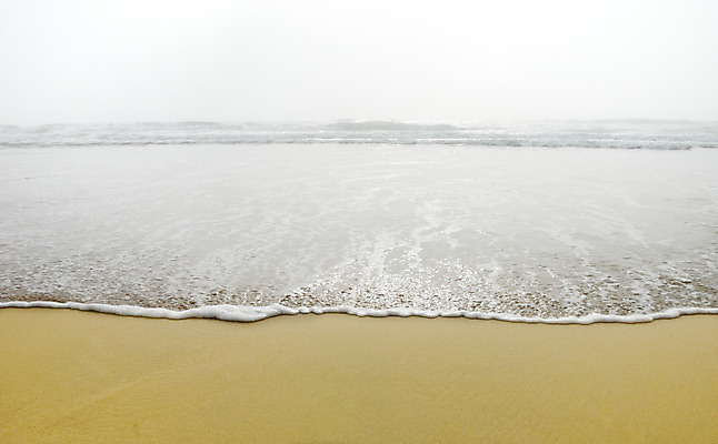 포토 JPG 해외이미지 구름 공원 모래 파도 바다 백그라운드 이동 자연 조류 하늘 날씨 풍경 해변 사람없음 야외 가로 물 빛 반사 거품 안개 액체 서핑 캘리포니아 부드러움 태평양 뿌연 전국 수평선 해외202004 해외포토 자연요소 동물 공공시설 컨셉 미국 수상스포츠 감각 생태계 파일형식 이미지허브