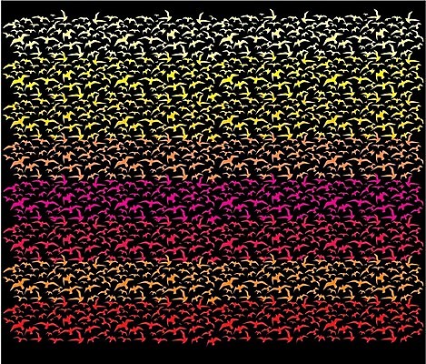 EPS 해외이미지 모양 동물 계절 실루엣 야생동물 날개 일러스트 가족 자연 갈매기 조류 하늘 휴가 휴식 종류 그림자 야외 여름 세트 자유 그리기 그룹 공작 숲 왜가리 문신 심볼 깃털 비둘기 앵무새 윤곽 독수리 철사 까마귀 해외202004 해외일러스트 컨셉 관계 모션 촬영기법 생태계 파일형식 벡터 이미지허브