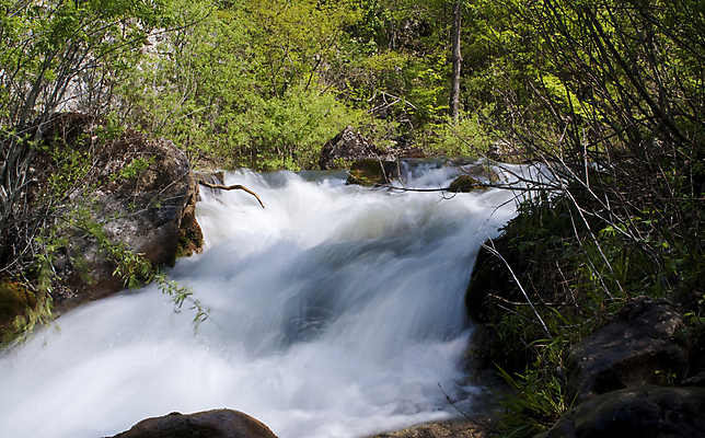 포토 JPG 해외이미지 나무 계절 잎 모션 자연 산 이끼 풍경 사람없음 야외 가로 초록색 물 여름 빛 강 햇빛 봄 폭포 흐름 안개 가을 바위 개울 황무지 매끈함 숲 속도 지역 해외202004 해외포토 자연요소 식물 컬러 컨셉 날씨 태양 돌_바위 감각 생태계 파일형식 이미지허브