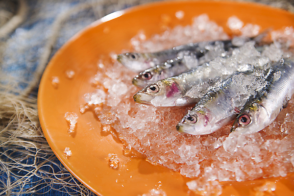 포토 JPG 해외이미지 접시 식재료 실내 사람없음 아웃포커스 얼음 신선 멸치 앤초비 해외202004 해외포토 자연요소 식기 촬영기법 어류 내부 파일형식 이미지허브