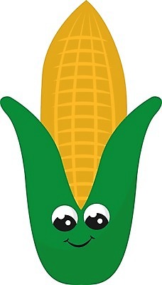 EPS 해외이미지 음식 농업 다이어트 채소 일러스트 재료 자연 건강 옥수수 씨앗 초록색 여름 노란색 식사 수확 껍질 신선 황금 달콤 낟알 밀 그림 유기농 알맹이 날것 보리 팝콘 내추럴 숙성 작살 팝 귀리 해외202004 해외일러스트 식물 웰빙 계절 산업 컬러 곡류 맛 생태계 파일형식 벡터 컨셉 이미지허브