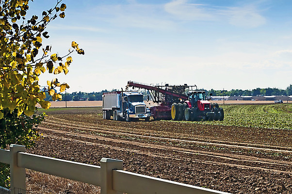 포토 JPG 해외이미지 밭 농업 사람없음 농장 미국 장비 수확 가을 시골 트랙터 짐차 콜로라도 해외202004 해외포토 계절 산업 북아메리카 자동차 농기계 특수차량 파일형식 이미지허브