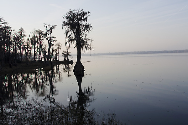 포토 JPG 해외이미지 나무 호수 자연 아침 풍경 사람없음 물 반사 환경 연못 숲 내추럴 해외202004 해외포토 주간 자연요소 식물 생태계 파일형식 이미지허브