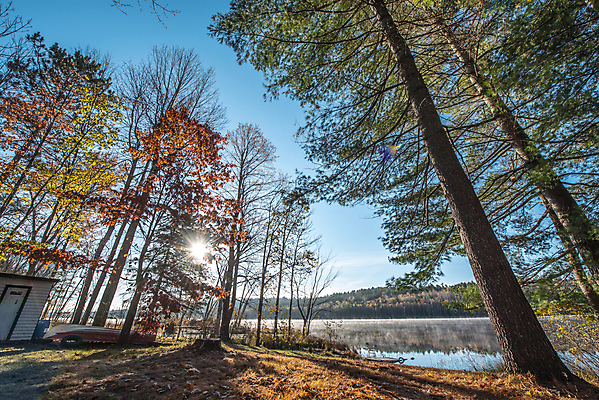 포토 JPG 해외이미지 나무 계절 호수 캐나다 자연 하늘 아침 사람없음 야외 물 햇빛 반사 평화 맑음 안개 가을 신선 소나무 황무지 숲 속도 내추럴 해외202004 해외포토 주간 자연요소 식물 컨셉 북아메리카 날씨 태양 생태계 파일형식 이미지허브
