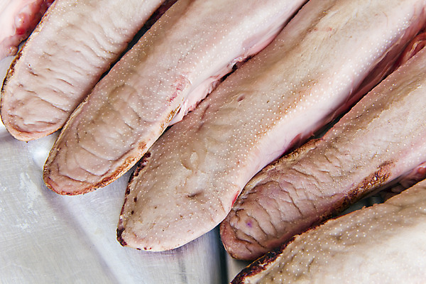 포토 JPG 해외이미지 음식 육류 돼지고기 사람없음 식사 소고기 신선 혀 날것 고립 해외202004 해외포토 식재료 입 파일형식 이미지허브