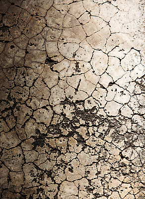 포토 JPG 해외이미지 나무 디자인 외관 벽 백그라운드 패턴 탁자 표면 추상 바닥 프레임 건조 사람없음 목재 장식 갈색 어둠 수확 시골 소나무 판넬 거친 널 낟알 책상 질감 복고 매듭 내추럴 그런지 옛날 줄서기 효과 해외202004 해외포토 식물 컬러 가구 무늬 농업 재료 모션 파일형식 이미지허브