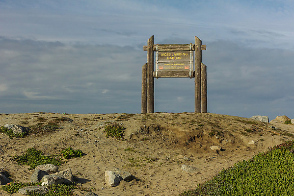 포토 JPG 해외이미지 모래 노래 경고 사람없음 물 서핑 위험 태평양 해외202004 해외포토 자연요소 음악 바다 컨셉 수상스포츠 파일형식 이미지허브