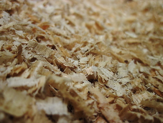 포토 JPG 해외이미지 사람없음 목재 부스러기 톱밥 해외202004 해외포토 나무 재료 가루 파일형식 이미지허브