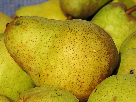 포토 JPG 해외이미지 음식 다이어트 과일 자연 건강 사람없음 초록색 신선 달콤 맛 먹기 내추럴 고립 숙성 해외202004 해외포토 컬러 컨셉 모션 생태계 파일형식 이미지허브