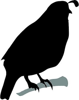 EPS 해외이미지 모양 동물 디자인 실루엣 포즈 백그라운드 날개 일러스트 조류 형상 미술 자유 흰색 문신 깃털 사인 그림 꼬리 메추리 스타일 해외202004 해외일러스트 컬러 컨셉 문화예술 촬영기법 파일형식 벡터 이미지허브