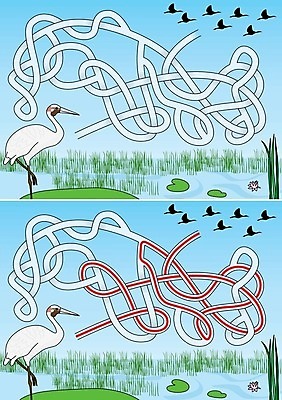 EPS 해외이미지 교육 길 일러스트 조류 게임 퍼즐 습지 만화 그림 미로 해결 구성 쉬운 해외202004 해외일러스트 동물 놀이 파일형식 벡터 이미지허브