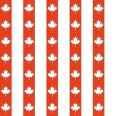 EPS 해외이미지 디자인 백그라운드 단풍 잎 캐나다 패턴 일러스트 그래픽 빨간색 흰색 깃발 질감 애국심 엘리먼트 해외202004 해외일러스트 식물 컬러 북아메리카 무늬 파일형식 벡터 이미지허브