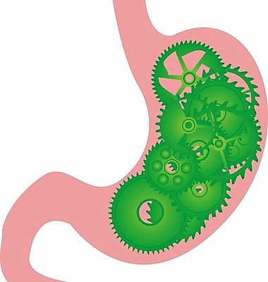 EPS 해외이미지 모양 라이프스타일 디자인 백그라운드 컨셉 다이어트 일러스트 건강 내부 그래픽 초록색 건강관리 흰색 오르간 먹기 심볼 사인 시스템 고립 돌봄 복근 해외202004 해외일러스트 컬러 모션 근육 관리 생활 건반악기 파일형식 벡터 이미지허브