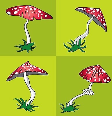 EPS 해외이미지 디자인 계절 음식 일러스트 자연 이끼 요리 정원 식사 버섯 습기 가을 선택 숲 위험 만화 먹기 그림 유기농 고립 곰팡이 독버섯 캡모자 해외202004 해외일러스트 모자_잡화 웰빙 컨셉 모션 생태계 파일형식 벡터 이미지허브