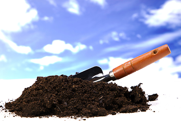 포토 JPG 해외이미지 식물 꽃 지구 백그라운드 컨셉 잎 부츠 통 사람없음 초록색 환경 정원 성장 공구 캔 보호 냄비 삽 시작 원예 먼지 갈퀴 개발 고립 돌봄 모종 생태학 심기 세련 해외202004 해외포토 교육 컬러 신발 모션 취미 도구 솥 파일형식 이미지허브