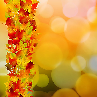 EPS 해외이미지 나무 식물 디자인 계절 단풍 잎 패턴 오렌지 일러스트 자연 표면 바람 추상 미술 야외 장식 빨간색 빛 갈색 우주 보라색 가을 나뭇가지 신선 그룹 숲 11월 다발 묘사 유기농 질감 보케 10월 해외202004 해외일러스트 자연요소 웰빙 컬러 무늬 과일 날씨 문화예술 날짜 생태계 파일형식 벡터 이미지허브