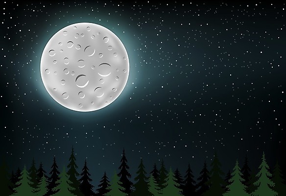 EPS 해외이미지 실루엣 별 하늘색 일러스트 자연 하늘 표면 요정 파노라마 풍경 목재 파란색 빛 우주 검은색 어둠 새벽 행성 보름달 달 야간 숲 큼 만화 달빛 분화구 공상 침엽수 전나무 스카이라인 넘어짐 가문비나무 해외202004 해외일러스트 자연요소 나무 컬러 재료 모션 촬영기법 크기 생태계 화산 파일형식 벡터 이미지허브