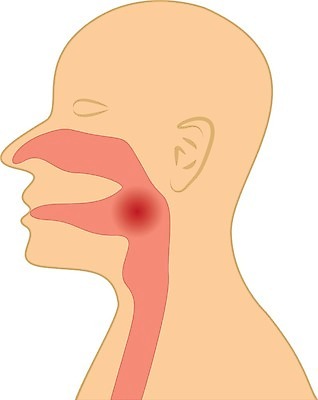 EPS 해외이미지 디자인 여자 얼굴 백그라운드 일러스트 건강 그래픽 약 머리 건강관리 고통 추위 열 호흡기관 바이러스 질병 상처 감염 전염 시스템 목 문제 서명 돌봄 염증 인플루엔자 증상 해로움 해외202004 해외일러스트 감정 컨셉 의학 모션 관리 사람 신체부위 장기_의학 파일형식 벡터 이미지허브