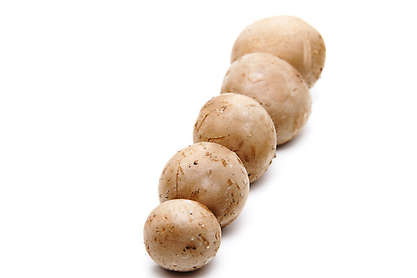 포토 JPG 해외이미지 음식 채소 사람없음 갈색 식사 버섯 수확 껍질 신선 맛 먹기 피부 흰배경 날것 해외202004 해외포토 컬러 백그라운드 컨셉 농업 모션 신체부위 흰색 파일형식 이미지허브