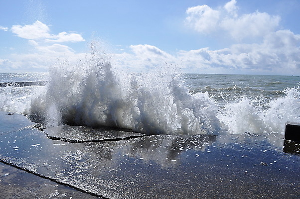 포토 JPG 해외이미지 물결 파도 바다 백그라운드 모션 자연 조류 표면 기술 안테나 풍경 사람없음 야외 물 여름 파란색 햇빛 어둠 활발 거품 흐름 흰색 거친 액체 서핑 떨어짐 지중해 속도 하와이 장면 분무기 용암 폭풍 S 내추럴 깊이 자취 터키석 효과 해외202004 해외포토 자연요소 동물 알파벳 계절 컬러 컨셉 통신 날씨 태양 미국 수상스포츠 보석 생태계 파일형식 이미지허브