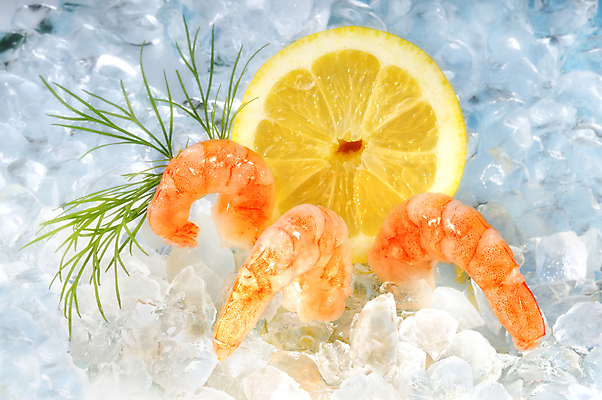 포토 JPG 해외이미지 음식 바다 조개 새우 건강 갑각류 요리 사람없음 빛 고급 맛 먹기 해산물 만족 이국적 스타일 해외202004 해외포토 동물 감정 컨셉 모션 어패류 파일형식 이미지허브