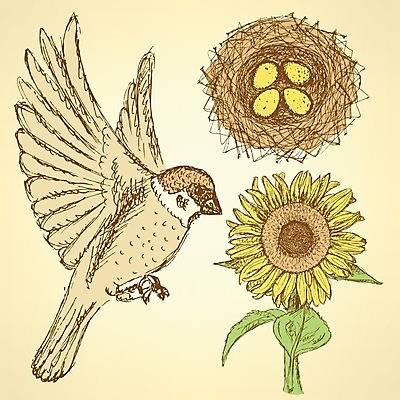 EPS 해외이미지 식물 손 꽃 야생동물 백그라운드 잎 꽃무늬 패턴 일러스트 자연 조류 해바라기 발렌타인데이 미술 그래픽 세트 컬러풀 연필 페인트 봄 수확 벚꽃 나뭇가지 원형 화려 그리기 둥지 스케치 타일 그림 복고 생물학 부리 참새 꽃가루 양귀비 꿀 고립 동물상 옛날 현실 해외202004 해외일러스트 도형 나무 동물 계절 교육 컬러 컨셉 무늬 농업 모션 데이이벤트 문화예술 학용품 신체부위 필기구 조형물 가루 생태계 파일형식 벡터 이미지허브