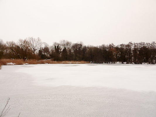 포토 JPG 해외이미지 나무 계절 호수 여행 백그라운드 크리스마스 겨울 자연 하늘 표면 날씨 풍경 사람없음 야외 물 강 환경 냉동 얼음 침묵 추위 흰색 나뭇가지 시골 황무지 숲 12월 서리 장면 1월 내추럴 눈내림 해외202004 해외포토 자연요소 식물 기념일 컬러 눈_날씨 소리 날짜 생태계 파일형식 이미지허브