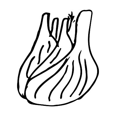 EPS 해외이미지 식물 음식 채소 일러스트 재료 자연 건강 요리 미술 그래픽 초록색 샐러드 신선 만화 스케치 먹기 그림 유기농 날것 내추럴 고립 채식주의자 회향 해외202004 해외일러스트 웰빙 컬러 모션 문화예술 생태계 채식 파일형식 벡터 이미지허브