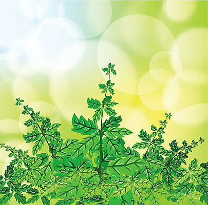 EPS 해외이미지 배너 백그라운드 잎 일러스트 추상 휴가 아웃포커스 장식 초록색 여름 빛 태양 맑음 봄 거품 인사 원형 신용카드 관목 보케 블러 효과 해외202004 해외일러스트 자연요소 도형 나무 식물 계절 컬러 무늬 날씨 촬영기법 금융 예절 파일형식 벡터 이미지허브