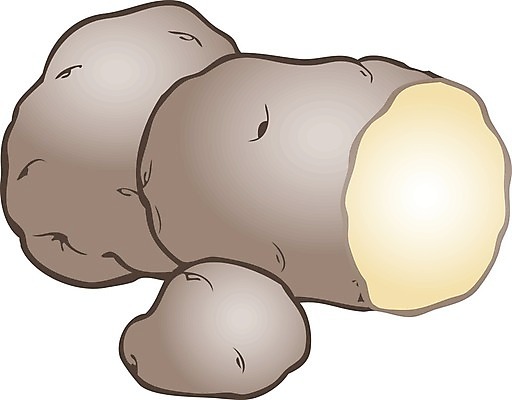 EPS 해외이미지 식물 음식 백그라운드 농업 다이어트 채소 일러스트 자연 새로움 감자 건강 요리 갈색 쌓기 봄 수확 가을 신선 그룹 달콤 맛 싱글 유기농 날것 뿌리 흙더미 녹말 밭일 생식 채식주의자 탄수화물 비건 해외202004 해외일러스트 웰빙 계절 산업 컬러 컨셉 모션 흙 생태계 채식 파일형식 벡터 더미 이미지허브