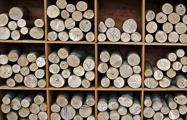 포토 JPG 해외이미지 나무 산업 종이 백그라운드 패턴 부분 자연 사람없음 목재 초록색 쌓기 환경 업무 그룹 숲 장작 자르기 묘사 질감 나무껍질 자원 잡동사니 내추럴 생태학 수목 해외202004 해외포토 식물 교육 컬러 무늬 재료 모션 껍질 작업 생태계 파일형식 이미지허브