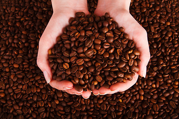 포토 JPG 해외이미지 전통 손 커피 음료 음식 백그라운드 가방 재료 자연 아침 추상 콩 씨앗 한명 컵 농작물 갈색 검은색 어둠 카페 에너지 흰색 신선 그룹 닫기 아침식사 낟알 굽기 가득함 질감 향기 아로마 자루 카푸치노 에스프레소 중독 흙더미 내추럴 고립 모카 시나몬 아랍어 카페인 해외202004 해외포토 주간 식물 1 식기 잡화 컬러 무늬 농업 모션 곡류 사람 신체부위 상점 식사 흙 구이 생태계 냄새 파일형식 더미 이미지허브